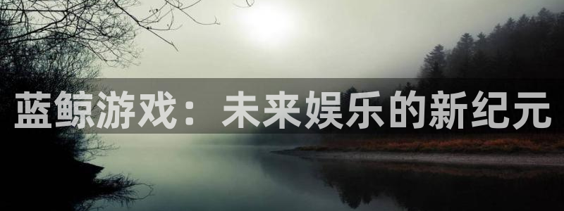 蓝鲸游戏：未来娱乐的新纪元