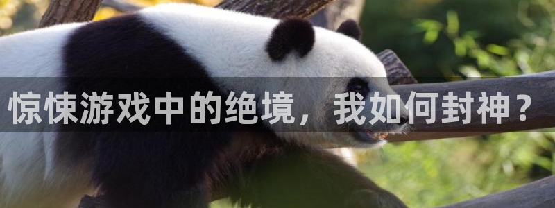 m6米乐网页版登录入口稳定版贴吧：惊悚游戏中的绝境，我如何封