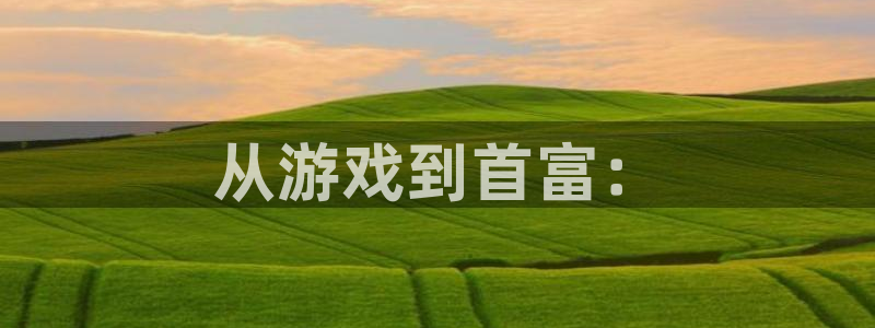 mi6米乐：从游戏到首富：