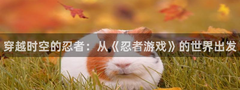米乐m6mile：穿越时空的忍者：从《忍者游戏》的世界出发