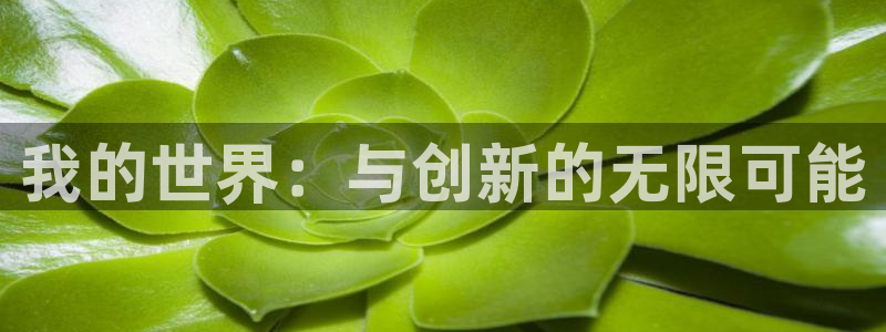 米乐m6会员登录入口网址：我的世界：与创新的无限可能