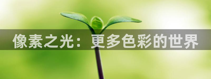 m6米乐到账快吗：像素之光：更多色彩的世界