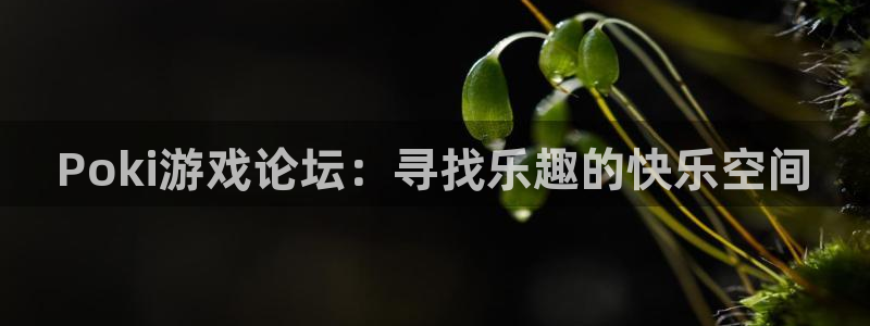 米乐m6：Poki游戏论坛：寻找乐趣的快乐空间