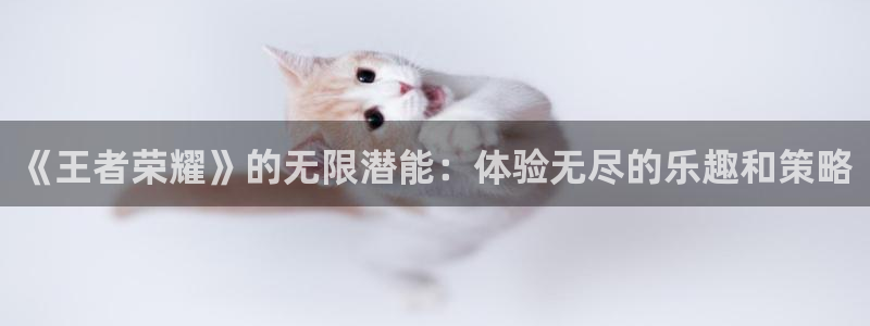 米乐m6易游：《王者荣耀》的无限潜能：体验无尽的乐趣和策略