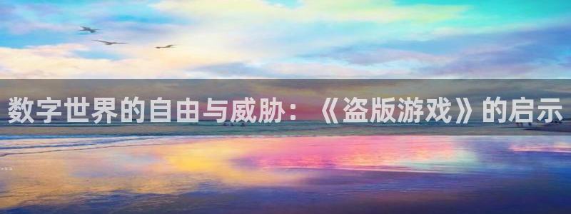 米乐m6-官网：数字世界的自由与威胁：《盗版游戏》的启示