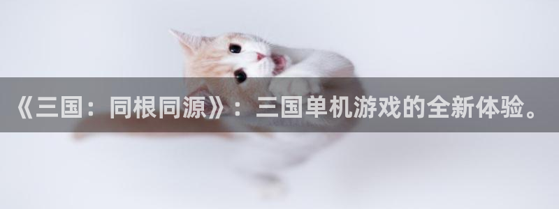 m6米乐怎么提现：《三国：同根同源》：三国单机游戏的全新体验