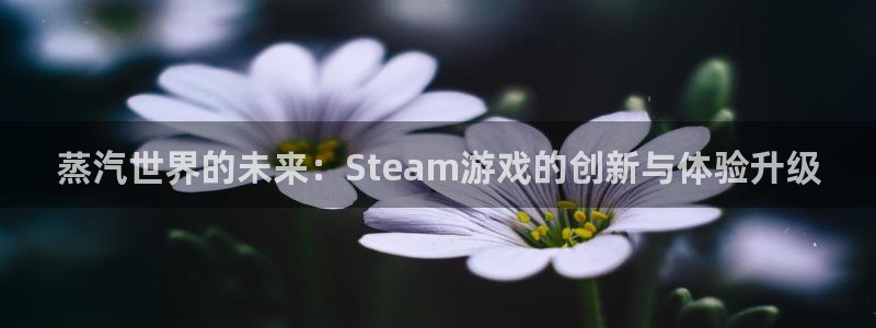 m6米乐小罗：蒸汽世界的未来：Steam游戏的创新与体验升级