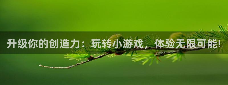 米乐m6加内特小罗：升级你的创造力：玩转小游戏，体验无限可能